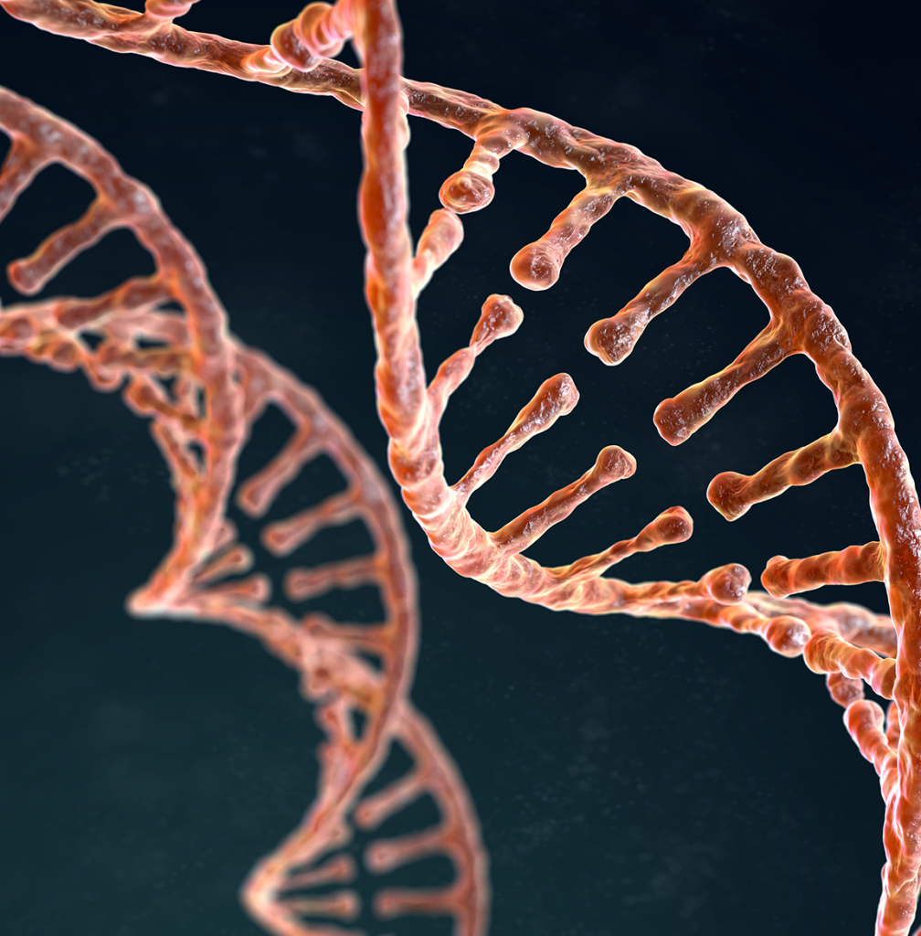 Restor+ for Regenerative Cell Therapy