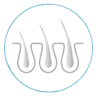 Hair Restoration 4 hair follicles and hair restoration